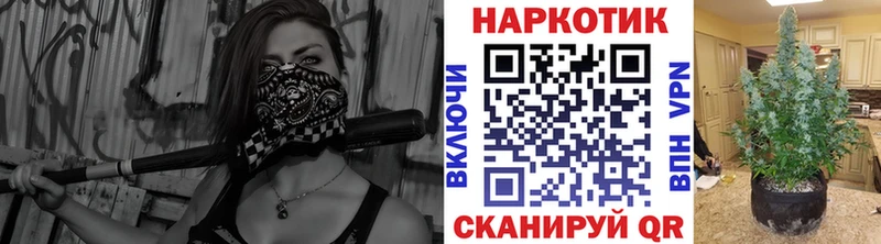 Купить закладку Заводоуковск COCAIN  МЕТАМФЕТАМИН  Бошки Шишки  Alpha PVP 