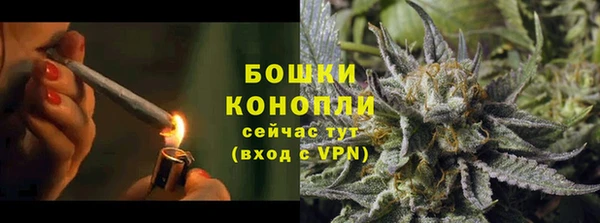 хмурый Осинники