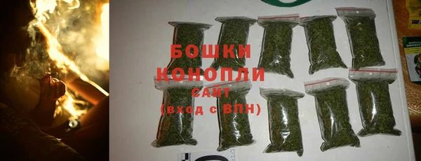 сатива Осташков