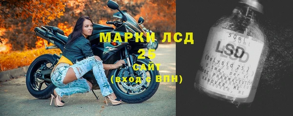 хмурый Осинники