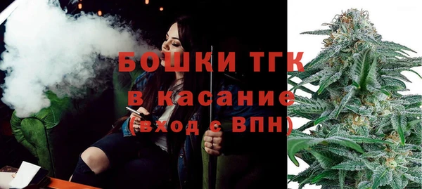 хмурый Осинники