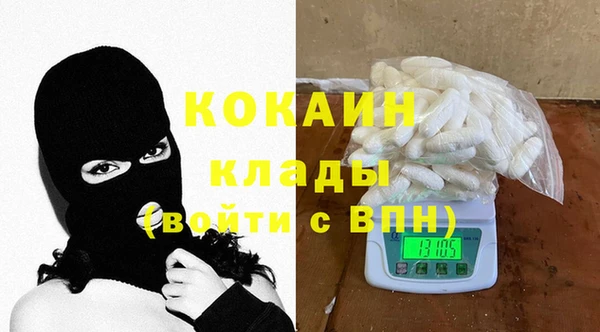 хмурый Осинники