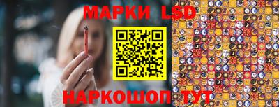 a pvp Донской