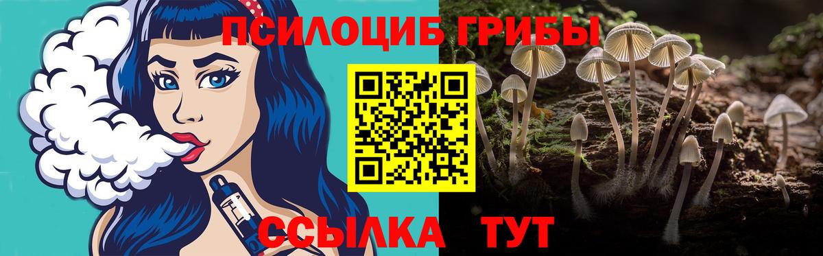 Заводоуковск  Галлюциногенные грибы MAGIC MUSHROOMS  Псилоцибиновые грибы GOLDEN TEACHER  Вход с VPN 