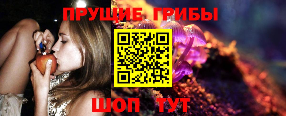 Галлюциногенные грибы Magic Shrooms  Заводоуковск 