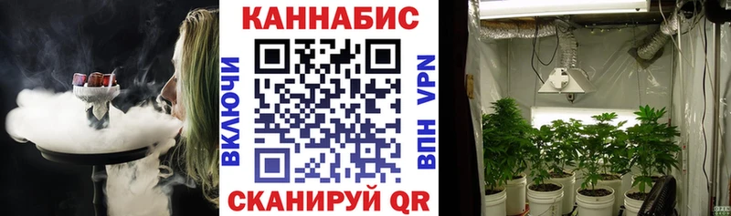 магазин  наркотиков  Заводоуковск  Бошки марихуана индика 